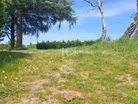 vente terrain à rouans (44640) : à vendre / 410m² rouans