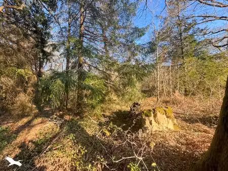 terrain à vendre