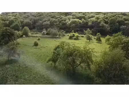 terrain à vendre