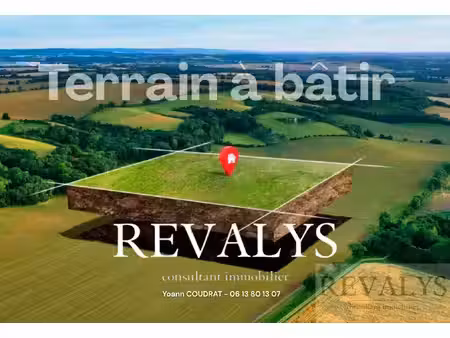 terrain