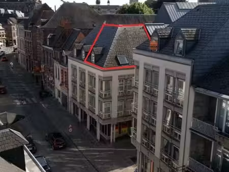 très beau studio lumineux de 50m² à 100m de la grand place
