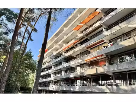 vastgoedkantoor marvy - keigoed in vastgoed!