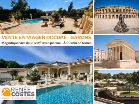 viager occupé - f84 ans - nimes (30000)