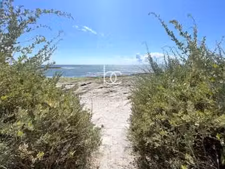 vente maison bord de mer à saint-gildas-de-rhuys (56730) : à vendre bord de mer / 64m² sai