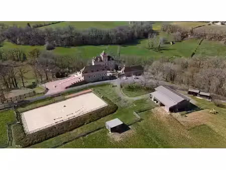 maison causse-et-diège - 8 chambres - 821m²