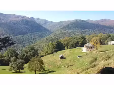 propriété tarascon-sur-ariège - 4 chambres - 270m²