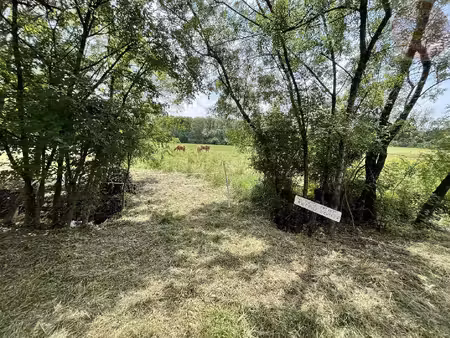 terrain