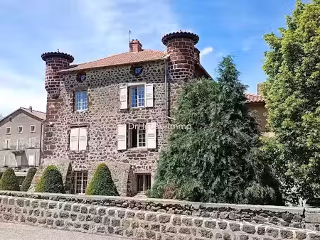 vente château 15 pièces 522 m² à bains (43370)  612 000 €