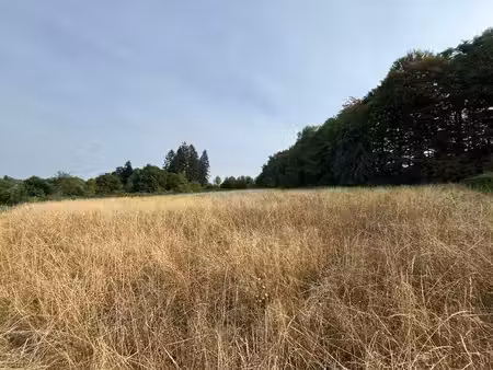 terrain à vendre