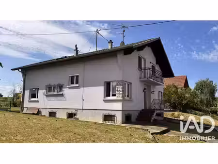 maison à zaessingue (68130)