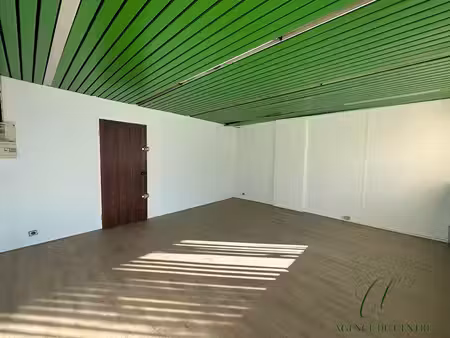 local commercial - rue pastorelli