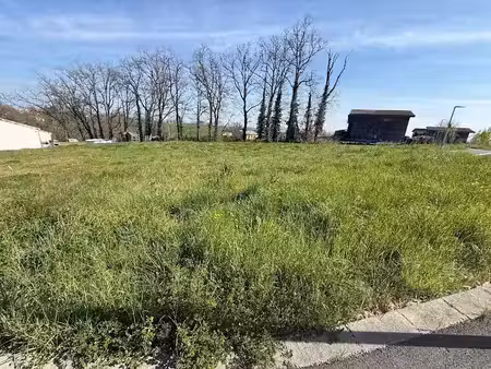 vente terrain 554 m² à lasgraisses (81300)  36 000 €