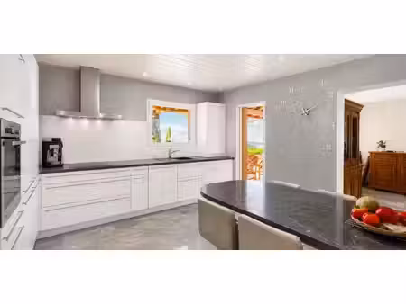 maison avec jardin et terrasse vinzier (74)