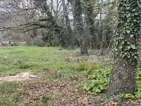 vente terrain 701 m² saint-benoît (86280)