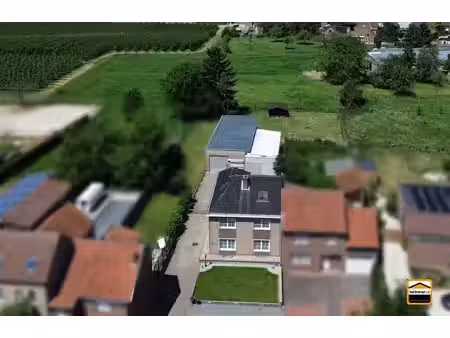 commercieel te koop in bilzen-hoeselt met 5 slaapkamers
