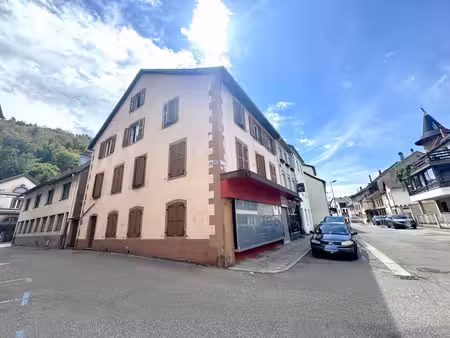 achat immeuble 235m² schirmeck 67130