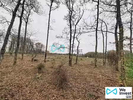 vente terrain orléans 45100 50949m²
