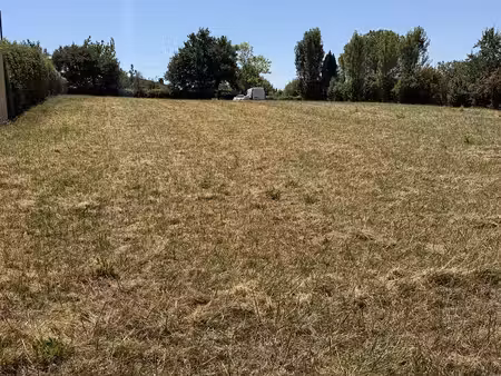 terrain 2019m2