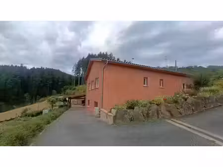 vente ferme 4 pièces 129 m² à cublize (69550)  365 000 €
