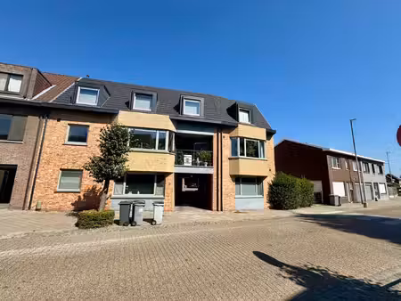 appartement te huur in oud-turnhout met 1 slaapkamer