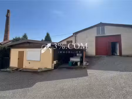vente locaux professionnels 6 pièces 250 m² à bouxwiller (67330)  398 000 €