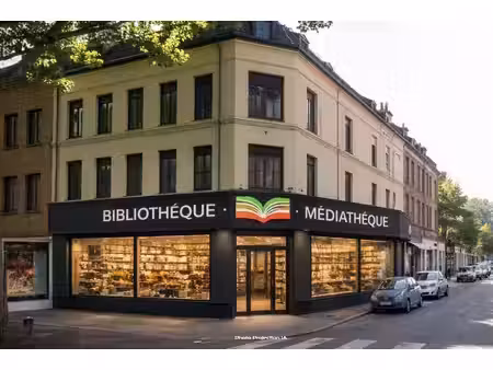 vente commerce lille 59000 480m²