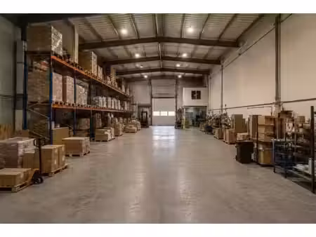 location local d’activités mornant 69440 300m²