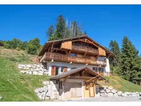 chalet face à la chaine du mont blanc