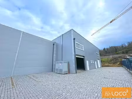 vente local d’activités grisolles 82170 490m²