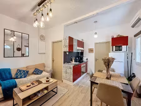 lot de 2 appartements en rdc au centre ville de lamalou les bains