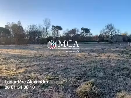 vente terrain 700 m² houeillès (47420)