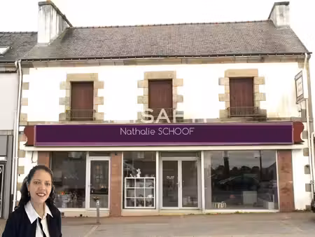 vente commerce 8 pièces 265 m² baud (56150)