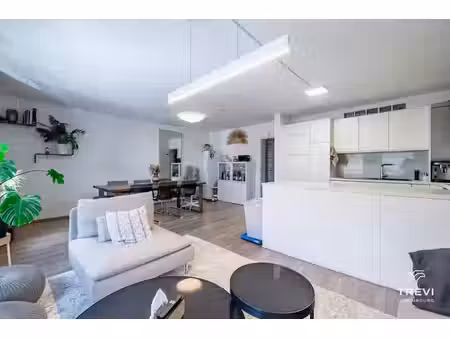 tervi luxembourg - duplex 3 ch rénové  garage/cave  1 sdb