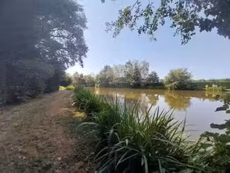 vente terrain à bourgon (53410) : à vendre / bourgon