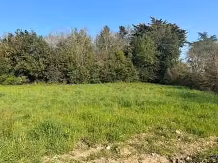 vente terrain à mauves-sur-loire (44470) : à vendre / mauves-sur-loire