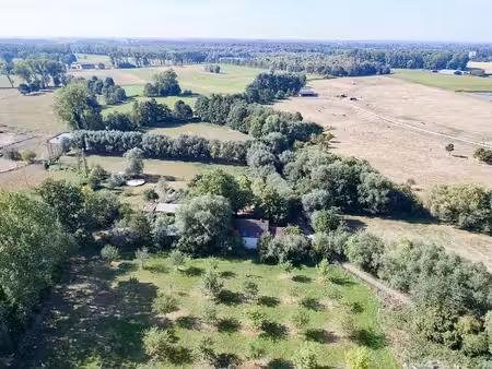 maison à vendre à kapelle-op-den-bos € 895.000 (lr97d) - vdv-van der veken | zimmo
