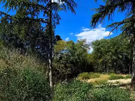 vente terrain 1200 m² à castelnau-le-lez (34170)  795 000 €