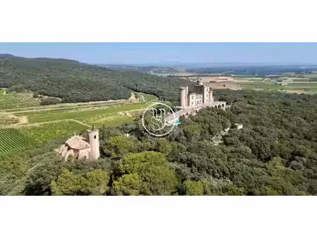 maison avec piscine villeneuve-les-avignon (30)