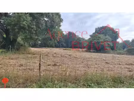 en vente terrain non constructible 1 208 m² – 63 500 € |saint-gildas-des-bois