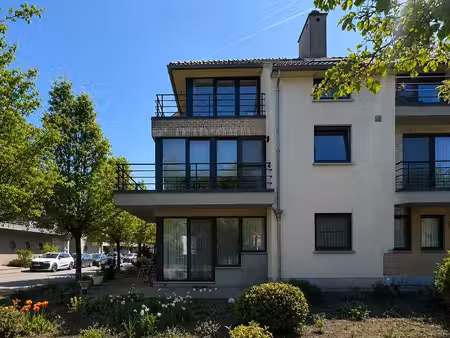 appartement à louer à zonhoven € 930 (lr99v) - marvy vastgoedkantoor | zimmo