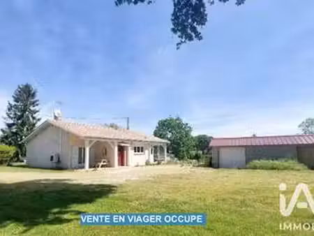 vente maison viager à galgon (33133) : à vendre viager / 100m² galgon