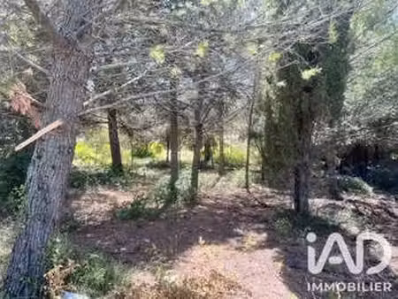 vente terrain à villeneuve-minervois (11160) : à vendre / 749m² villeneuve-minervois