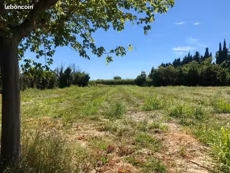 location terrain pour chevaux