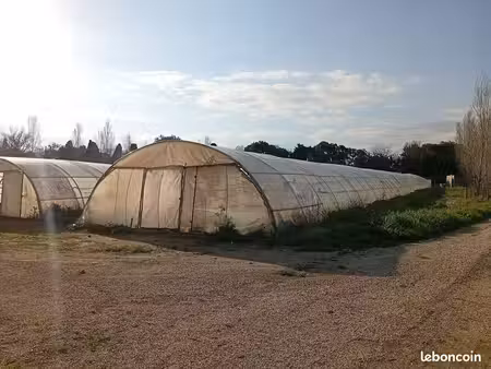 terrain agricole de 2 ha avec serres  chambre froide  matériel