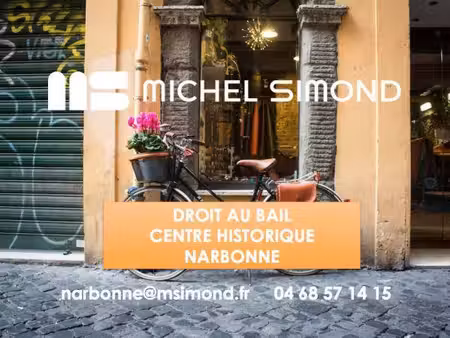 michel simond narbonne