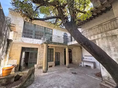 hôtel particulier à vendre