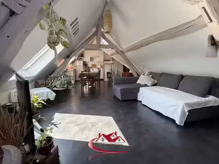 appartement lumineux de 74.86 m2 utile - 31.97 m2 carrez
