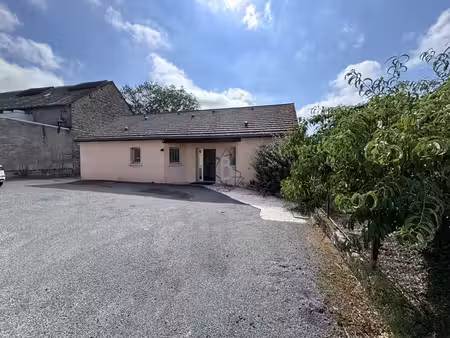 local d'activités avec appartement - 100 m2 - requista