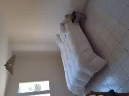 appartement à louer - logement étudiant
