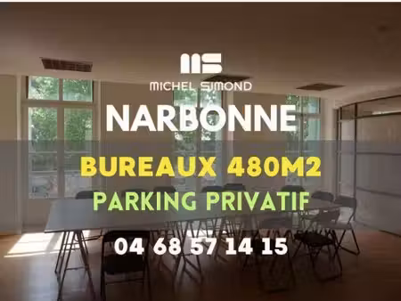 michel simond narbonne